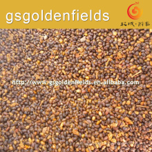 2017 High quality sea buckthorn sell